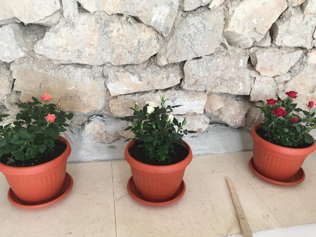 Apartments Petra ตรีบูนย์ ภายนอก รูปภาพ